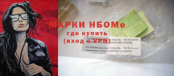 ПСИЛОЦИБИНОВЫЕ ГРИБЫ Горно-Алтайск