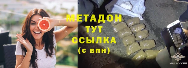 ПСИЛОЦИБИНОВЫЕ ГРИБЫ Горно-Алтайск