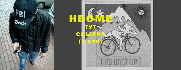 дживик Горняк