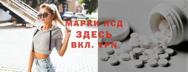 ПСИЛОЦИБИНОВЫЕ ГРИБЫ Горно-Алтайск