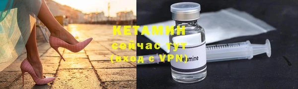 ПСИЛОЦИБИНОВЫЕ ГРИБЫ Горно-Алтайск