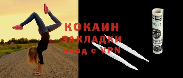 ПСИЛОЦИБИНОВЫЕ ГРИБЫ Горно-Алтайск