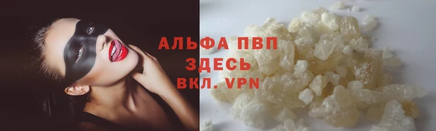 дживик Горняк