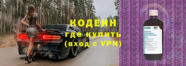 дживик Горняк