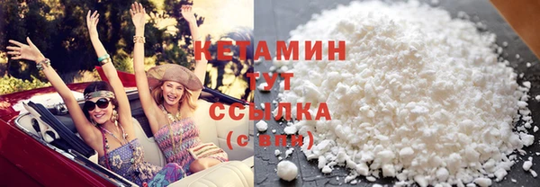 ПСИЛОЦИБИНОВЫЕ ГРИБЫ Горно-Алтайск