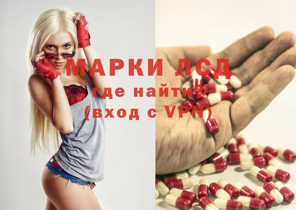 дживик Горняк