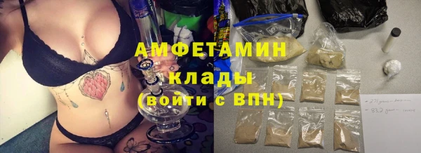 ПСИЛОЦИБИНОВЫЕ ГРИБЫ Горно-Алтайск